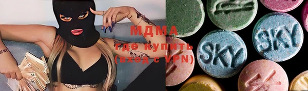 гашик Вяземский