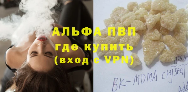 гашик Вяземский
