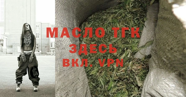 гашик Вяземский