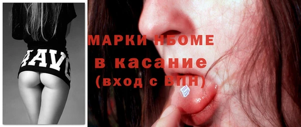гашик Вяземский