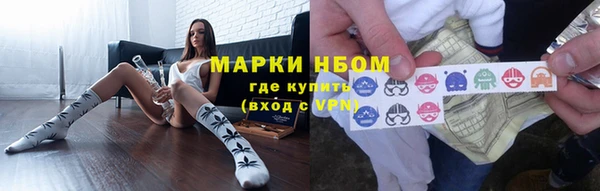 гашик Вяземский