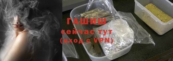 гашик Вяземский