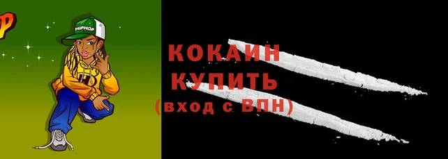гашик Вяземский