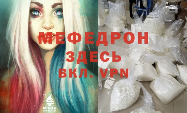 гашик Вяземский