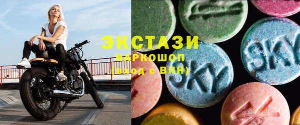 гашик Вяземский