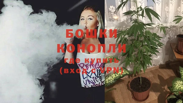 гашик Вяземский