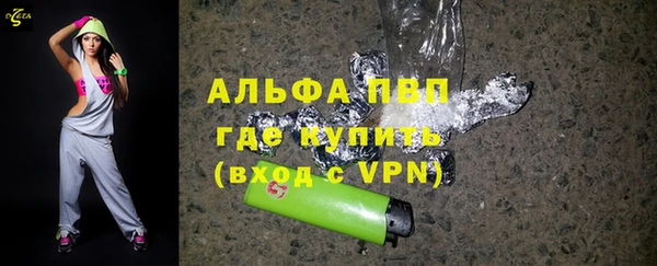 гашик Вяземский