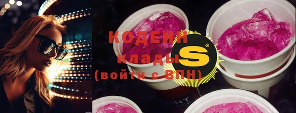 гашик Вяземский