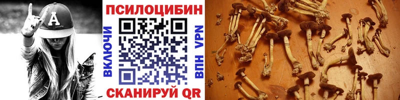 Галлюциногенные грибы GOLDEN TEACHER  Юрьев-Польский 
